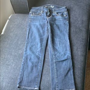 American Eagle Artist Cropped Jeans